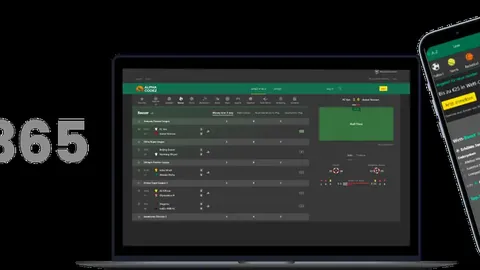 kaiyun·开云（中国）